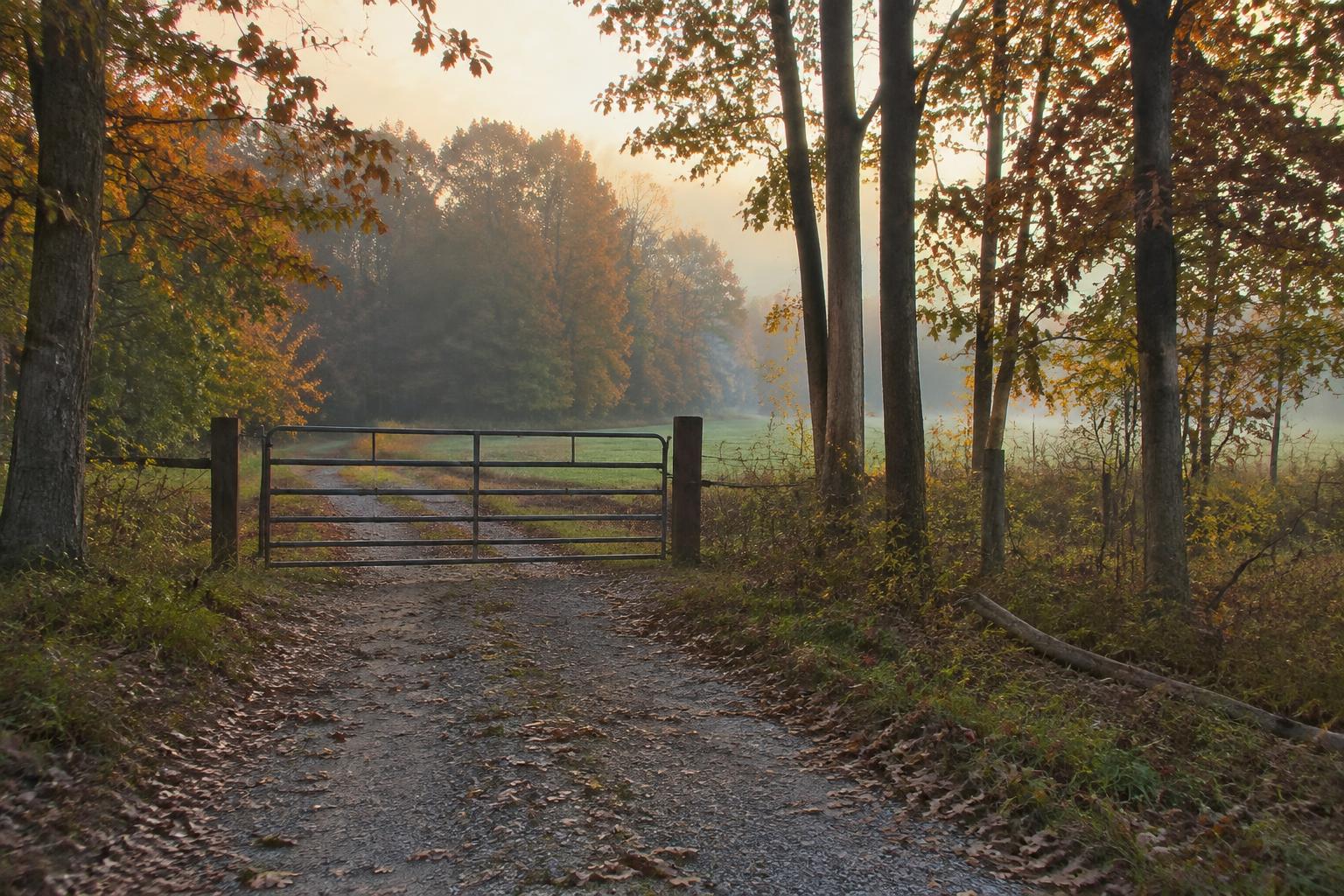 Gated gravel access road leading into Missouri timber and a food plot
